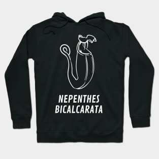 Carnivorous Pitcher Plant Gift Nepenthes Bicalcarata Hoodie